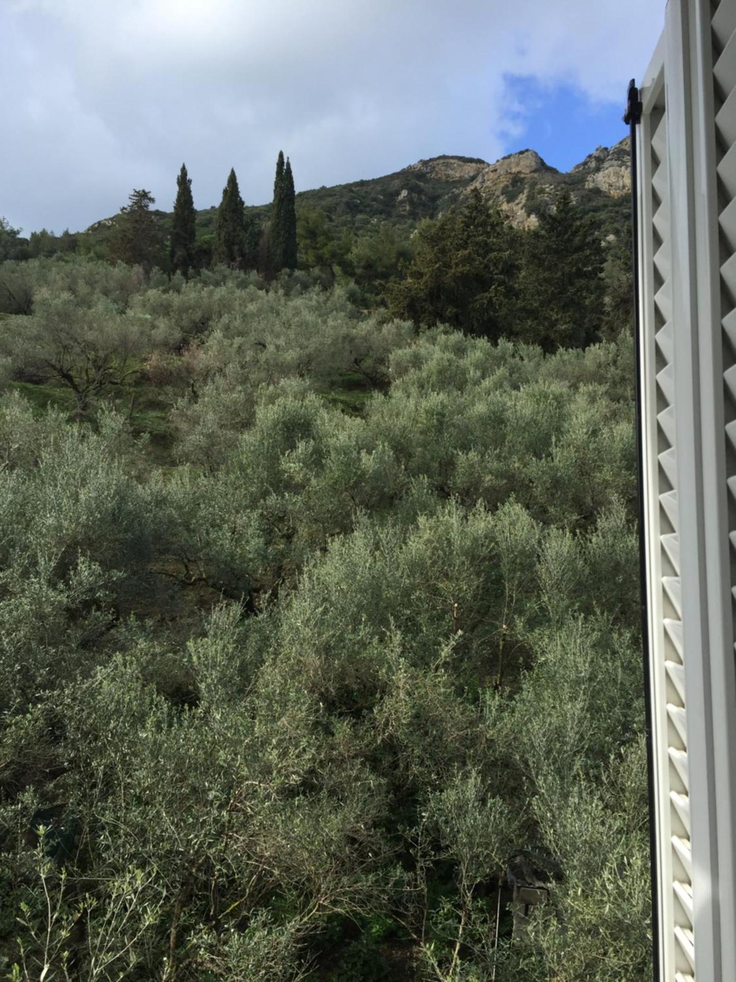 Belvedere Zakynthos Studios Vasilikos  Bilik gambar