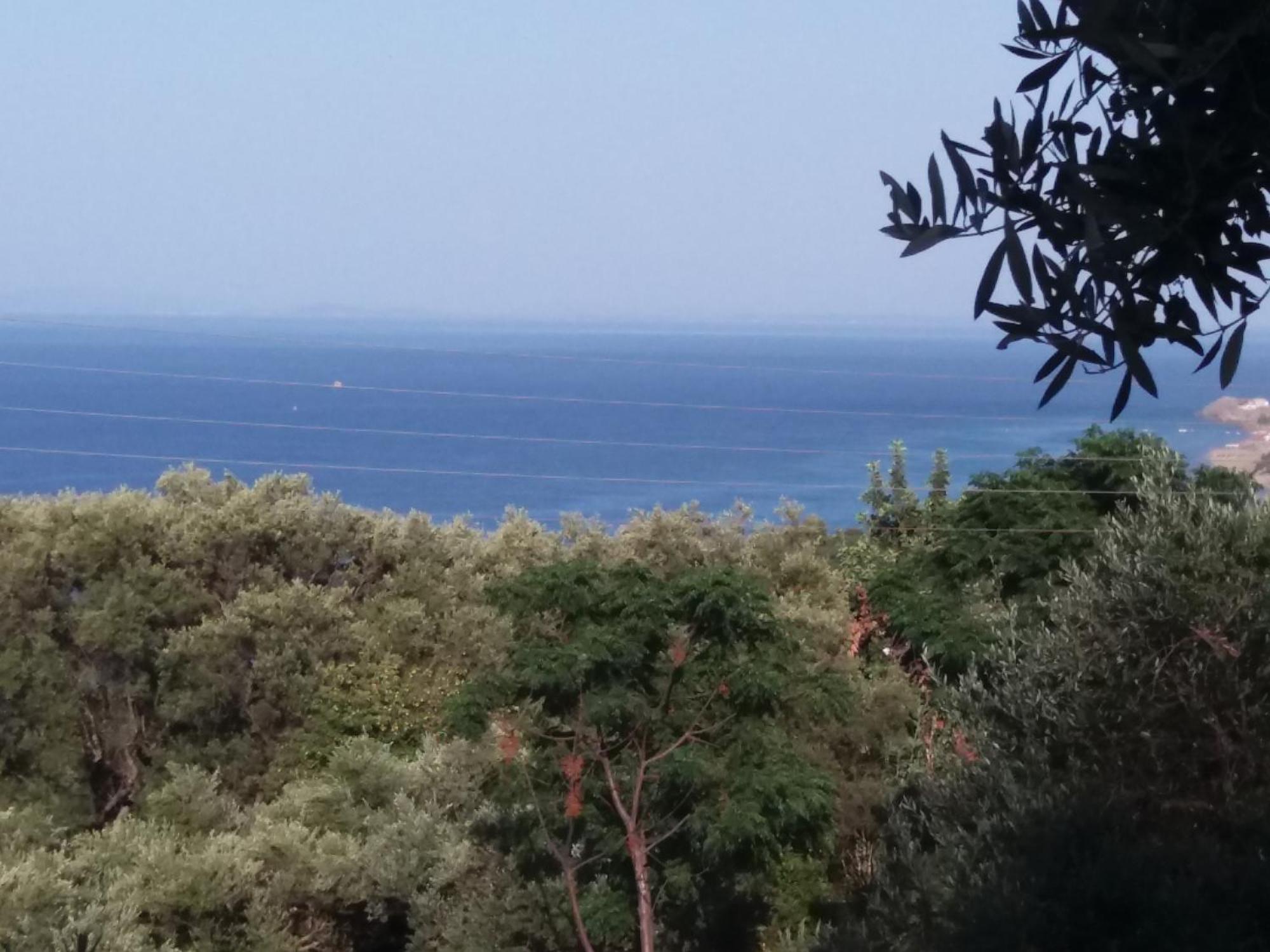Belvedere Zakynthos Studios Vasilikos  Bilik gambar
