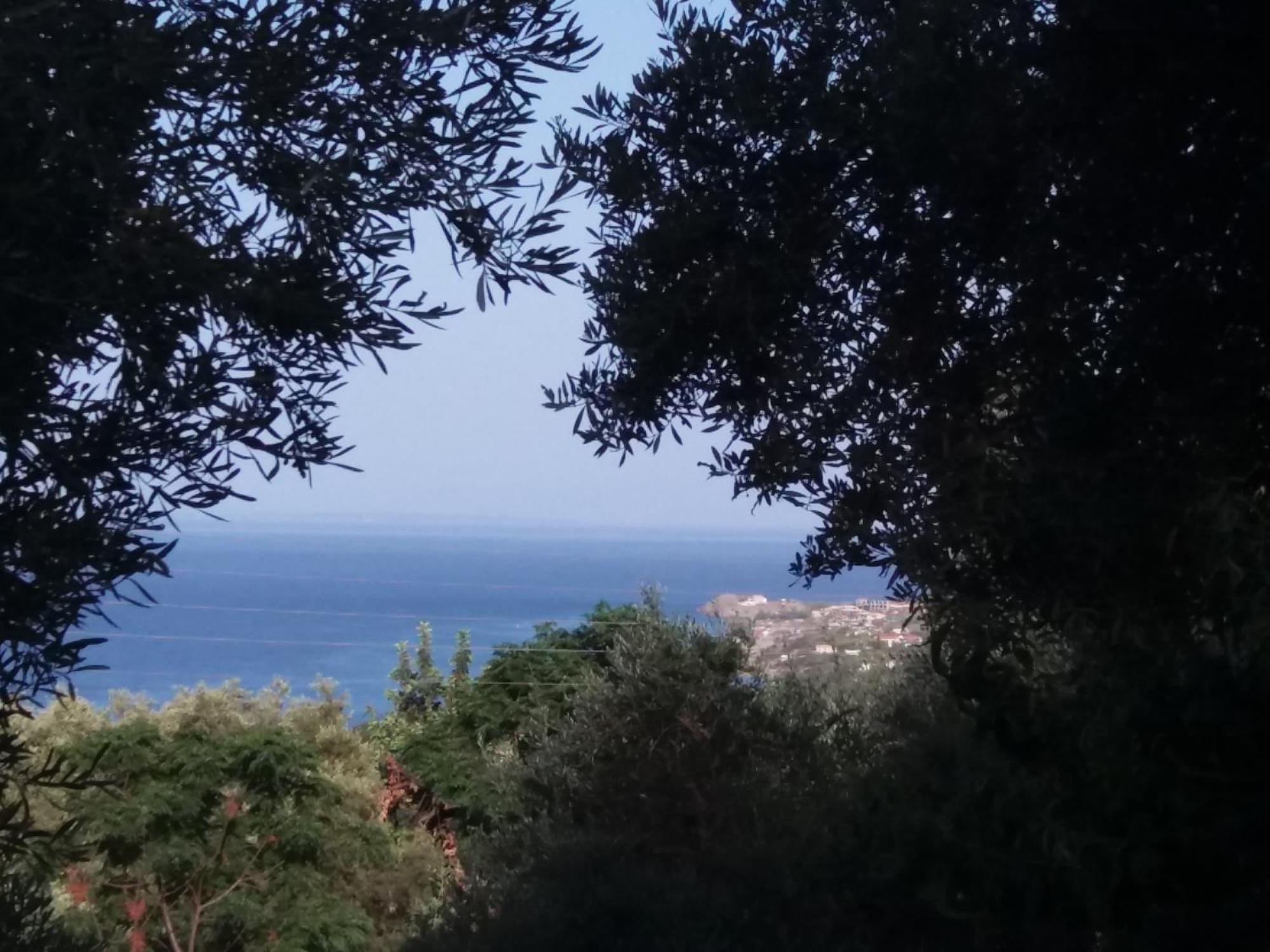 Belvedere Zakynthos Studios Vasilikos  Bilik gambar