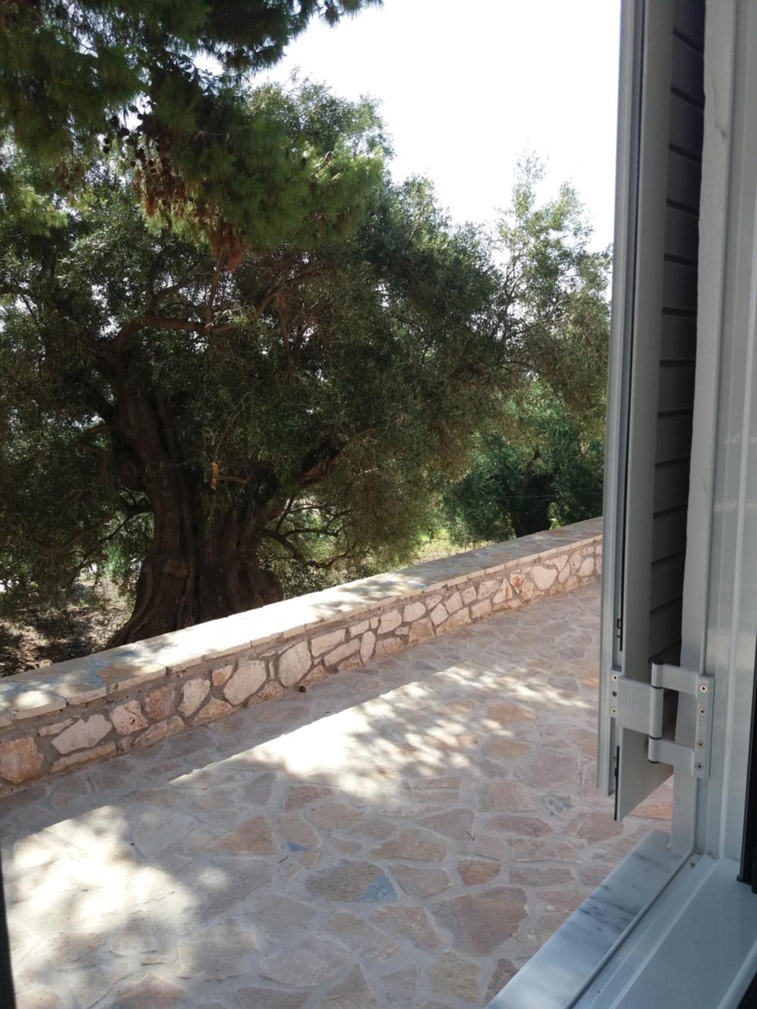 Belvedere Zakynthos Studios Vasilikos  Bilik gambar